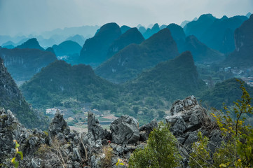 常用的市场信息服务渠道有