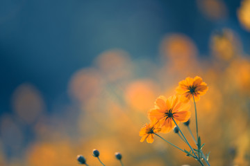 我马上要去面试 重庆凯宾斯基酒店的客房部秘书 要准备些什么啊 薪酬怎么样呢