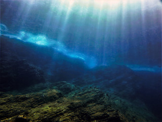 常用的市场信息服务渠道有