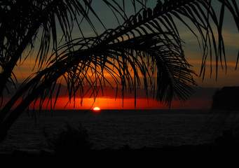 常用的市场信息服务渠道有