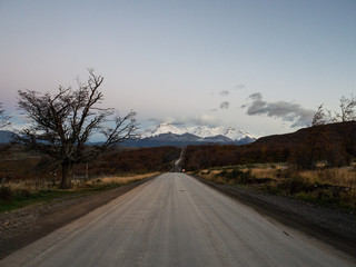 常用的市场信息服务渠道有