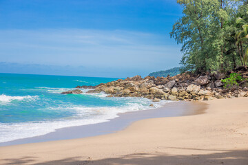 常用的市场信息服务渠道有
