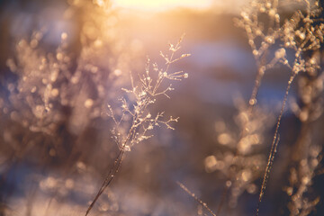 我马上要去面试 重庆凯宾斯基酒店的客房部秘书 要准备些什么啊 薪酬怎么样呢