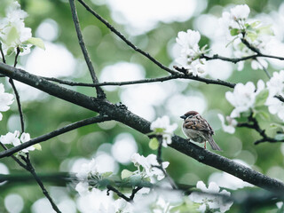 工商银行放假时间