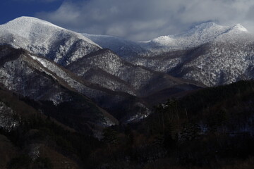 常用的市场信息服务渠道有