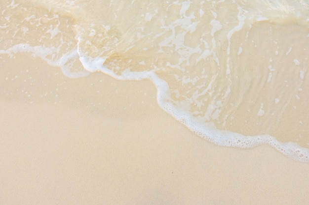 常用的市场信息服务渠道有