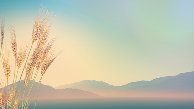 我马上要去面试 重庆凯宾斯基酒店的客房部秘书 要准备些什么啊 薪酬怎么样呢