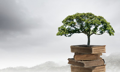 常用的市场信息服务渠道有