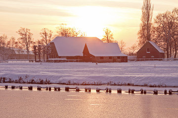 常用的市场信息服务渠道有